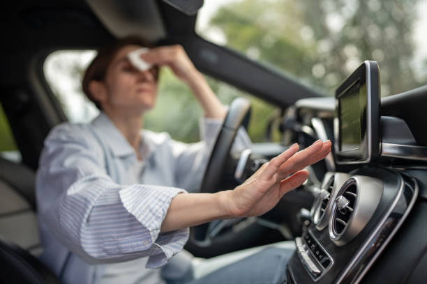 Best Air Conditioning Cleaning in Locust Fork, AL