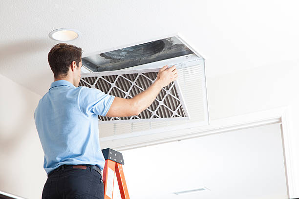 Best Energy-efficient HVAC Solutions in Locust Fork, AL
